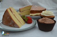 Cake Tasting With Special Occasion Cakes