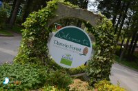 SPA Day And Afternoon Tea At Landal Darwin Forest near Matlock