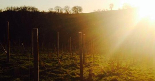 Planning Permission For Amber Valley Winery Approved