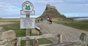 Five Go On A Flock Holiday In North East England