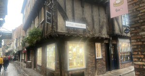 Sticky Beak Makes A Flock Visit To York #LoveYork