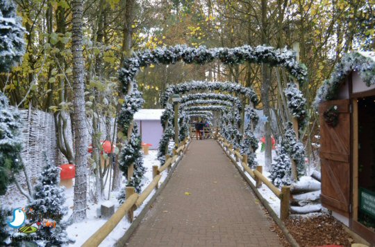 Winter Wonderland At Center Parcs, Sherwood Forest