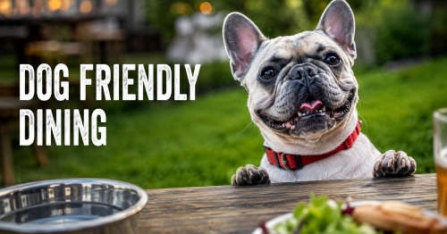 Dog friendly places to eat