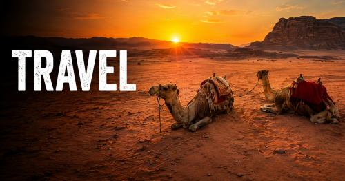 Sticky Beak travel guide