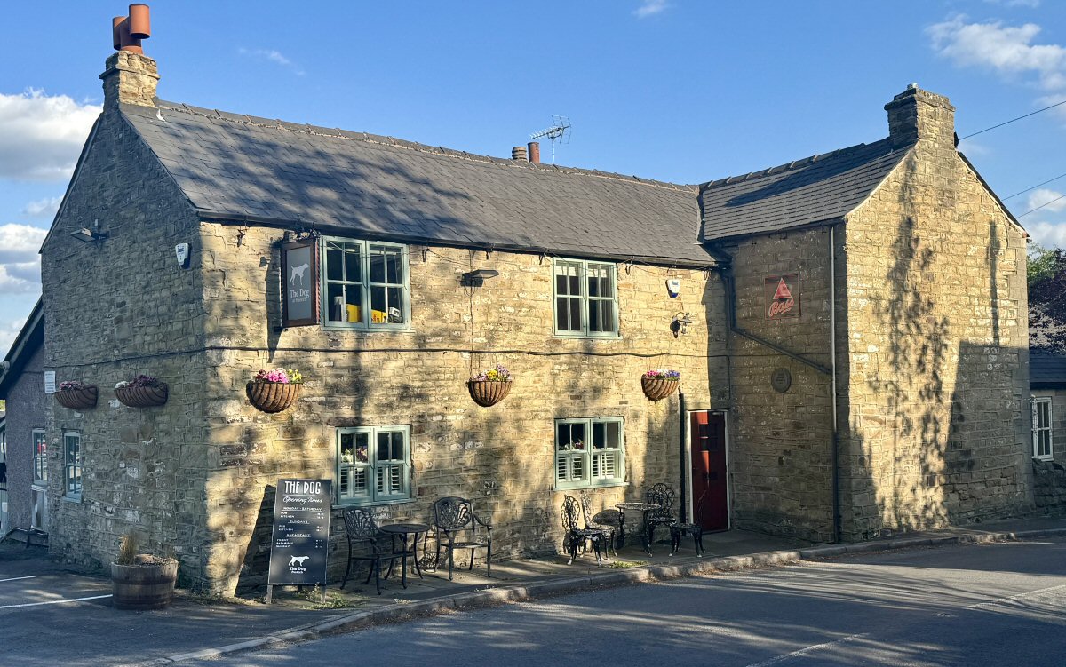 Out For Dinner At The Dog In Pentrich