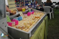 The Bakewell Show 2013