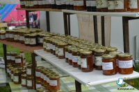Visit To Tansley Market & Car Boot 2014