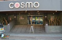 Cosmo's Birthday Celebration in Derby