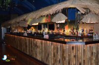 Gourmet Burgers At Lola Lo in Derby