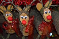 The Bakewell Winter Wonderland 2016