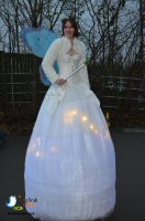 The Bakewell Winter Wonderland 2016