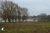 A Walk Around Rutland Water