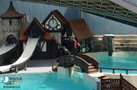 Sticky Beak In Niagara Falls Day 3