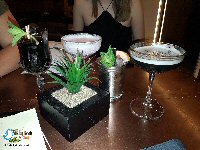 Derby Cocktail Bars And The Late Night Bus Service