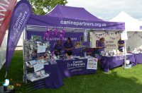Sticky Beak Makes A Flying Visit To Chatsworth Country Fair