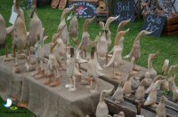 Sticky Beak Makes A Flying Visit To Chatsworth Country Fair