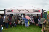 Sticky Beak Makes A Flying Visit To Chatsworth Country Fair