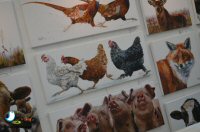 Sticky Beak Makes A Flying Visit To Chatsworth Country Fair