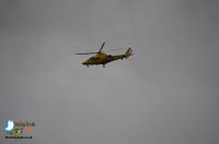 Sticky Beak Makes A Flying Visit To Chatsworth Country Fair