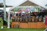 Sticky Beak Makes A Flying Visit To Chatsworth Country Fair