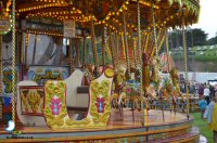 Sticky Beak Makes A Flying Visit To Chatsworth Country Fair