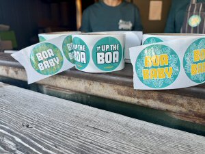 Sticky Beak Drops In For Wingfest 2025