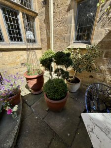 Celebrate The Summer Season At Award-Winning Fischer's Baslow Hall