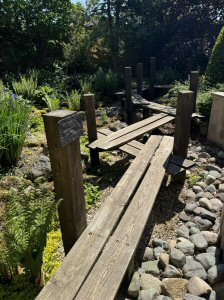 Celebrate The Summer Season At Award-Winning Fischer's Baslow Hall