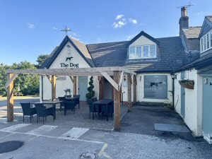 Out For Dinner At The Dog In Pentrich