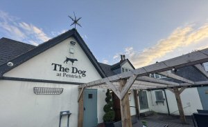 Out For Dinner At The Dog In Pentrich