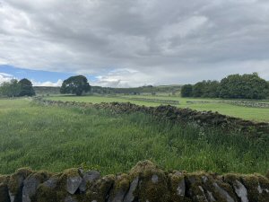 Sunday Lunch At The Bulls Head Inn, Foolow