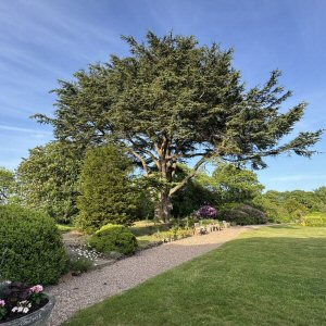 A Visit To The Charrington Restaurant, Stretton, May 2026