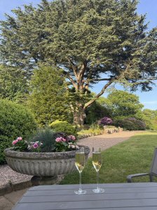A Visit To The Charrington Restaurant, Stretton, May 2026