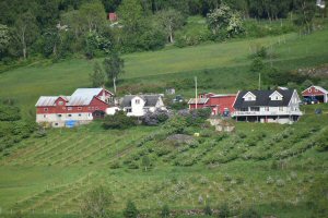 The Norwegian Fjords Day 3 - Skjolden