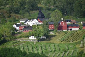 The Norwegian Fjords Day 3 - Skjolden