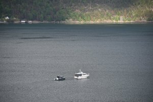 The Norwegian Fjords Day 3 - Skjolden