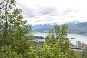 The Norwegian Fjords Day 4 - Alesund