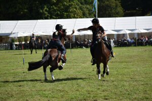 A Visit To Chatsworth Country Fair, September, 2026