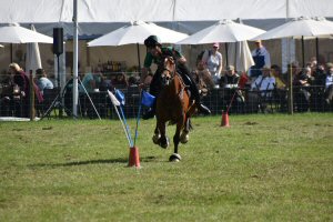A Visit To Chatsworth Country Fair, September, 2026