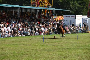 A Visit To Chatsworth Country Fair, September, 2026