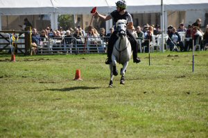 A Visit To Chatsworth Country Fair, September, 2026