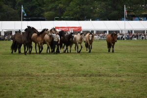 A Visit To Chatsworth Country Fair, September, 2026