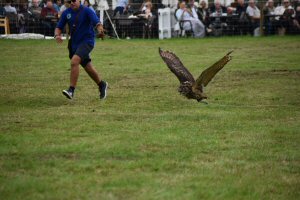 A Visit To Chatsworth Country Fair, September, 2026