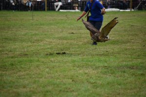 A Visit To Chatsworth Country Fair, September, 2026