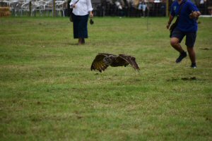 A Visit To Chatsworth Country Fair, September, 2026