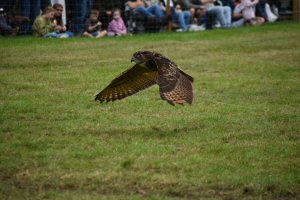 A Visit To Chatsworth Country Fair, September, 2026