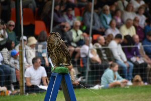 A Visit To Chatsworth Country Fair, September, 2026