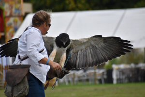 A Visit To Chatsworth Country Fair, September, 2026