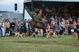 A Visit To Chatsworth Country Fair, September, 2026