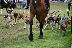 A Visit To Chatsworth Country Fair, September, 2026